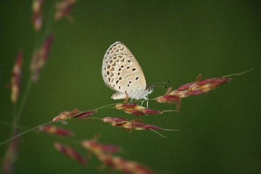 ���}�g�V�W�~