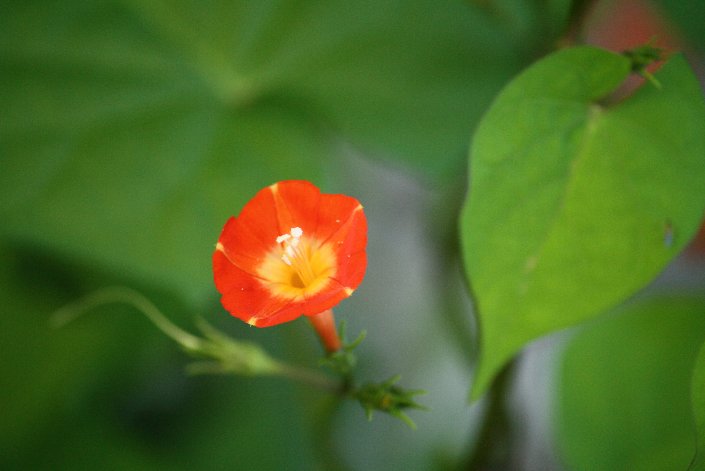 �ۗt�~�g��