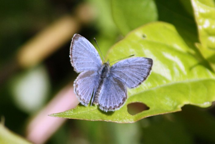 ���}�g�V�W�~