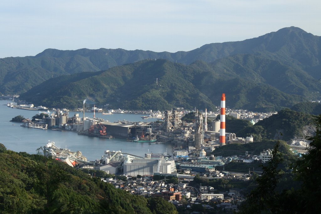 ������̕��i