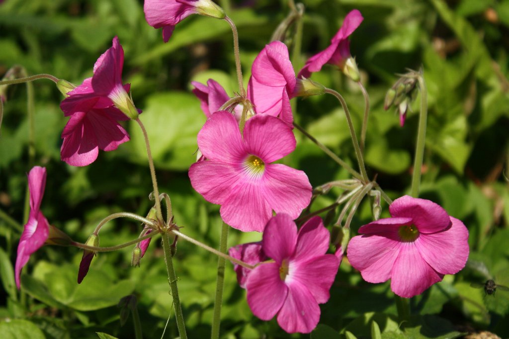 �n�i�J�^�o�~