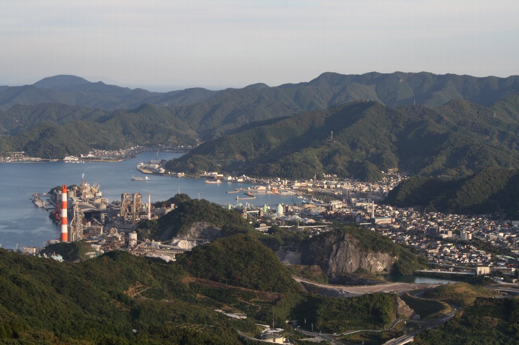 ������̕��i