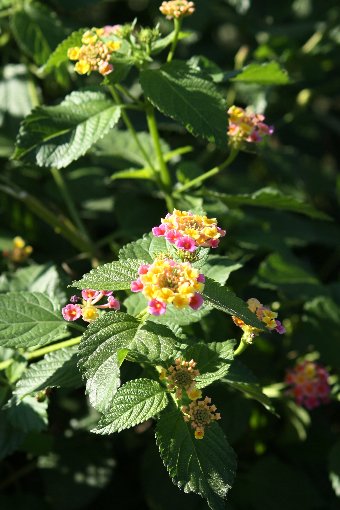 �����^�i