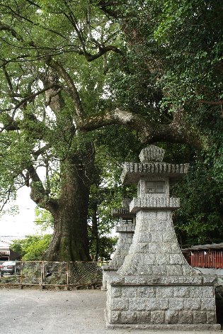 �E�_�Г���