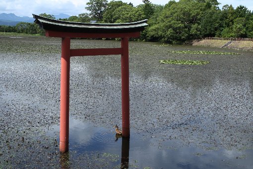 �O�p�r�̒���