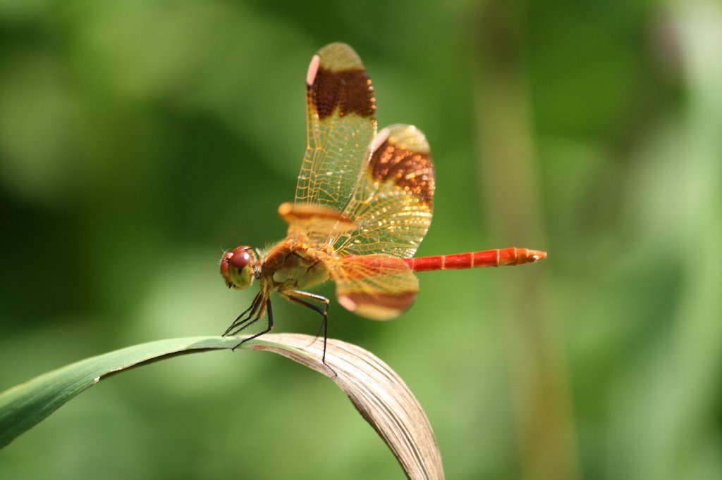 �~���}�A�J�l