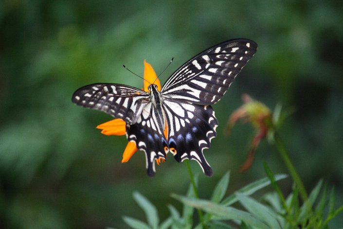 �i�~�A�Q�n