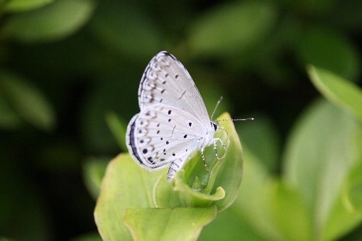 ���}�g�V�W�~