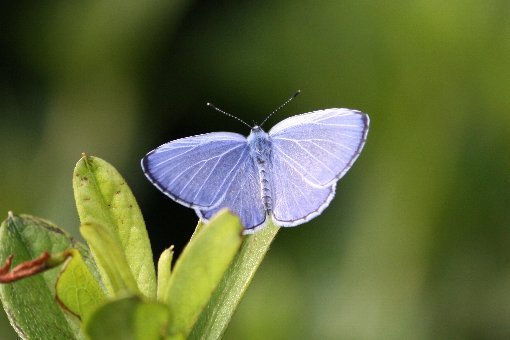 ���}�g�V�W�~