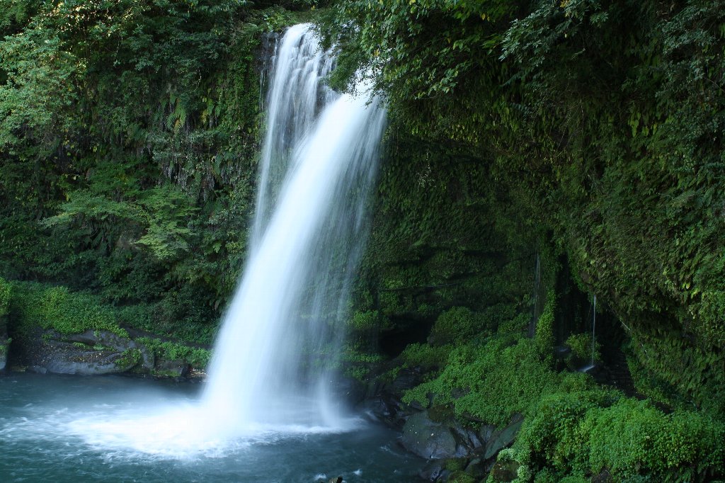 �����̑�