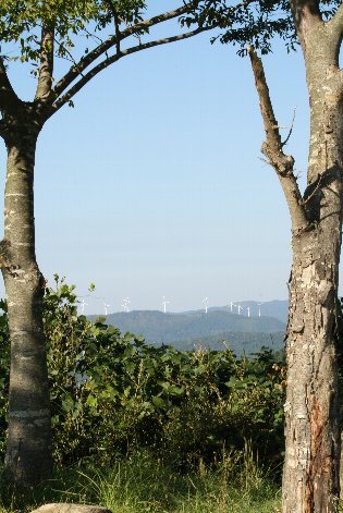 �ܔn��������]�ޕ���