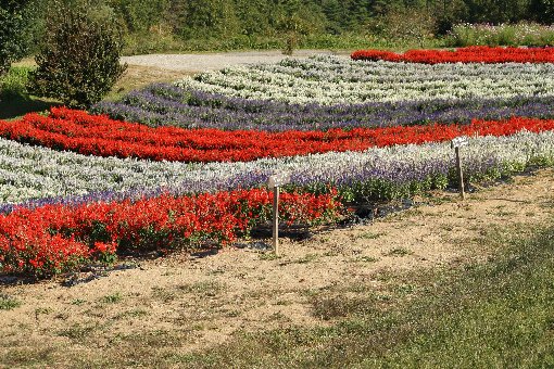 �T���r�A���O�~