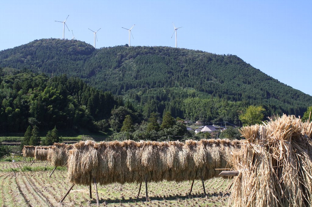 ��̘m�����ƕ��Ԃ̂��镗�i