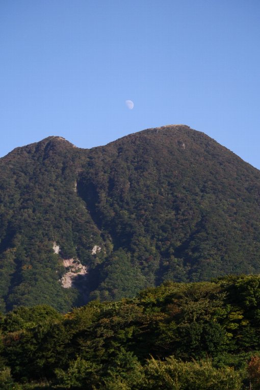 �R�z�x�Ə㌷�̌�