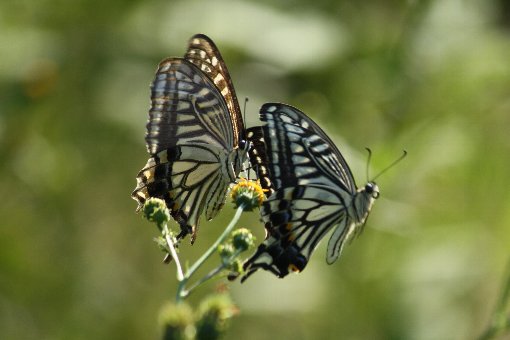 �i�~�A�Q�n