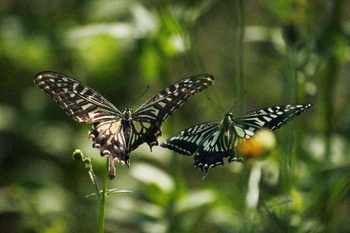 �i�~�A�Q�n