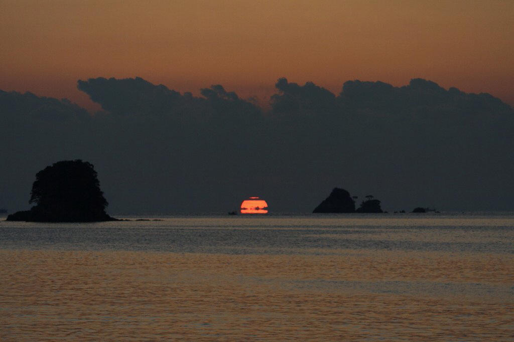 ����܃��h�L�P