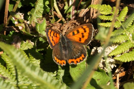 �x�j�V�W�~