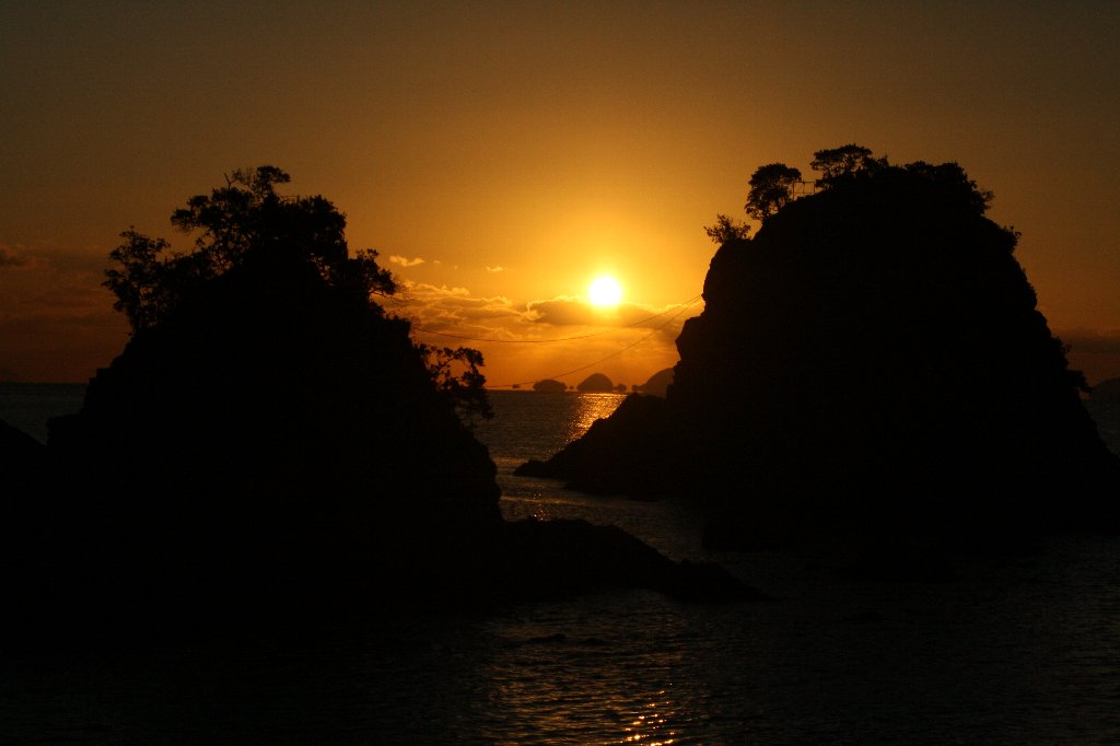 �L��񌩃��Y