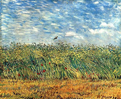 �q�o���̔�ї�����