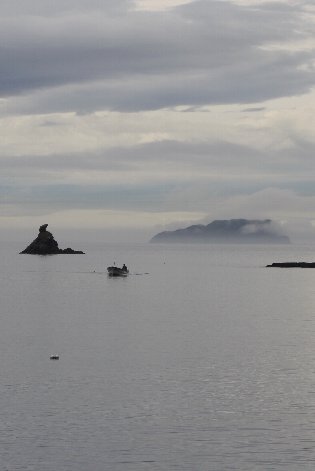 �R�͓��Ɩ��C��