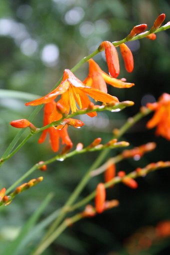 �P�w���