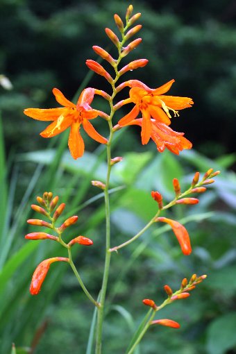 �P�w���