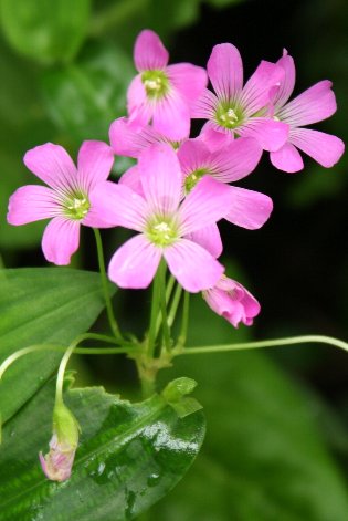 �����T�L�J�^�o�~