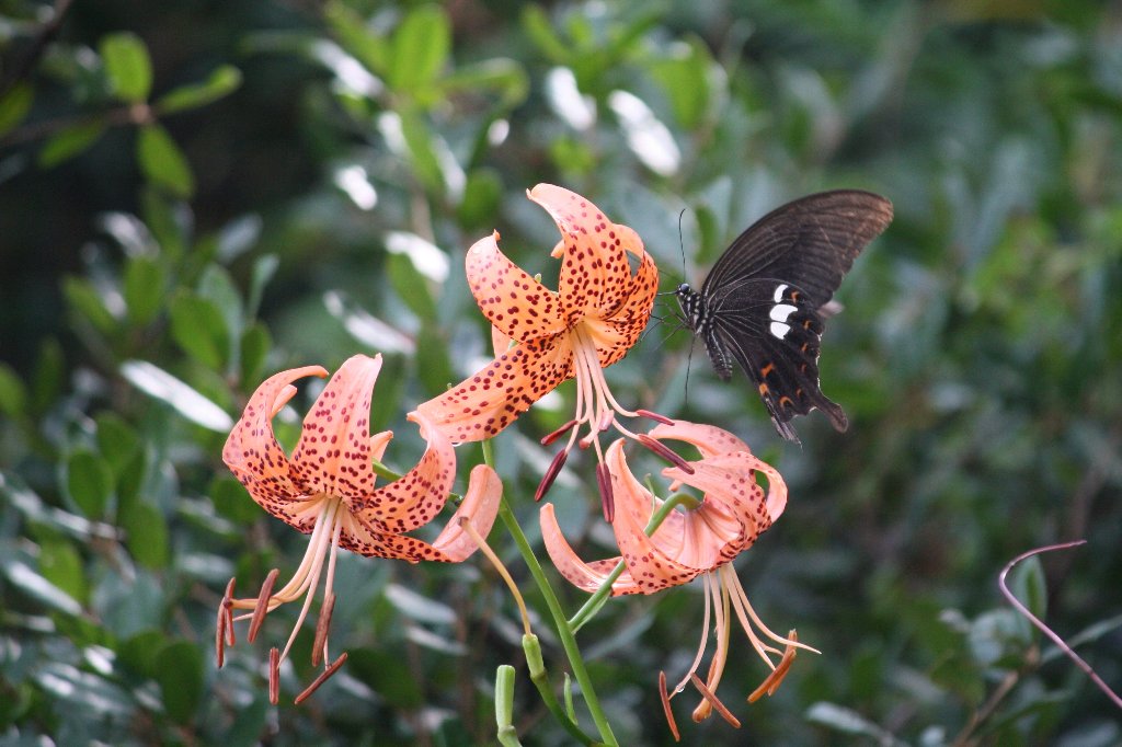 ���S�S��