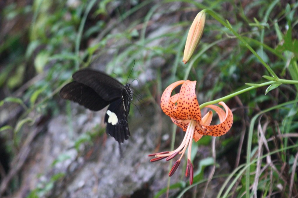 �����H�Ɍ���Ȃ��߂��ꏊ