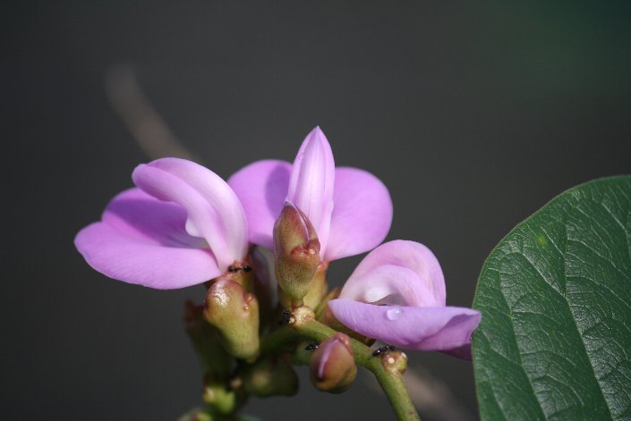 �n�}�i�^�}��