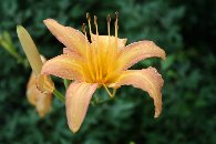 �n�}�J���]�E