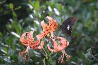 �R�I�j����