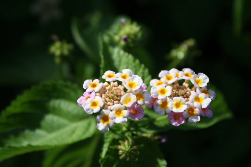 �����^�i