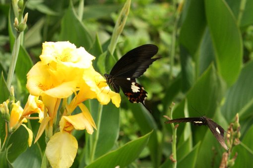 �J���i�ƂQ�C�̃N���A�Q�n