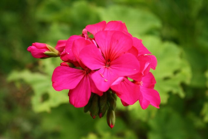 �[���j���[��