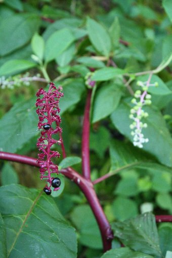 �m��R����