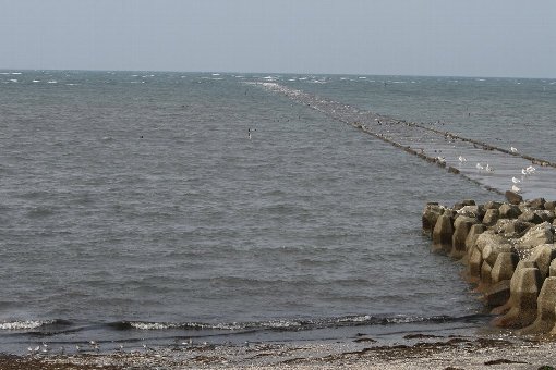 �E���̔������̓J�����ł�