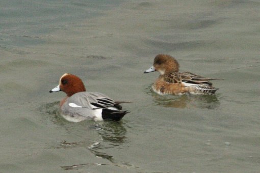 �q�h���K��