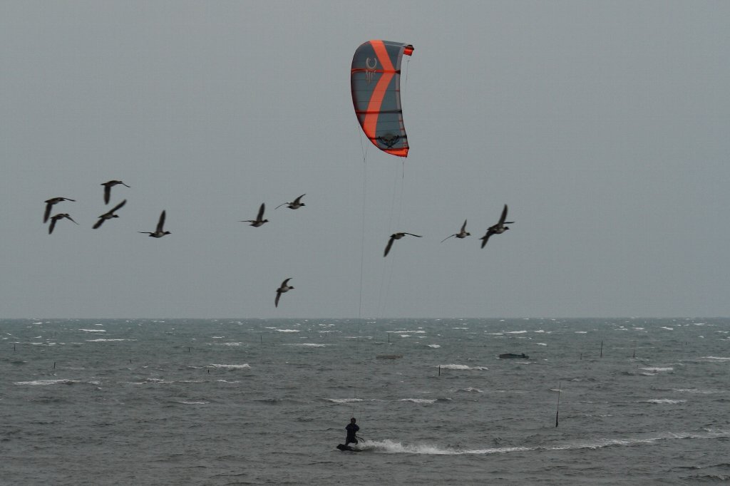 �J�C�g�{�[�h