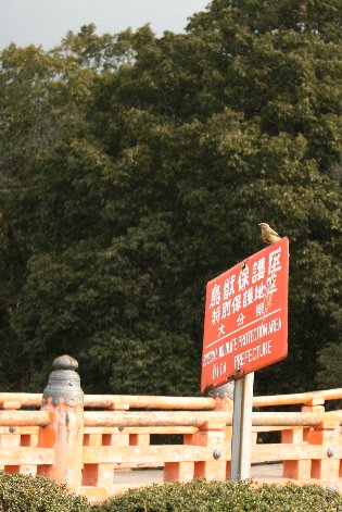 �W���E�r�^�L