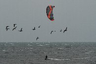 �J�C�g�{�[�h