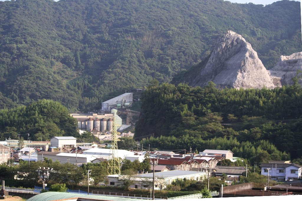 �Ӗ����R�����̍̌@���