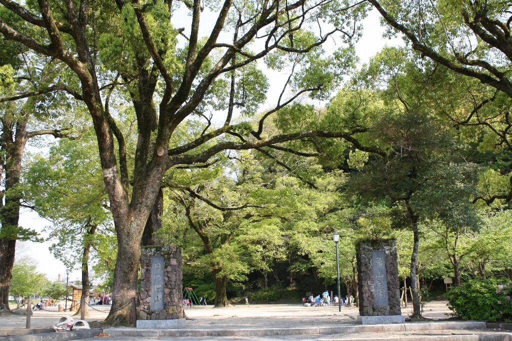 �T�R���������