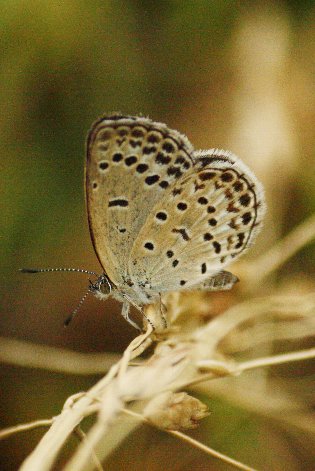 ���}�g�V�W�~