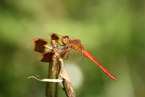 �~���}�A�J�l