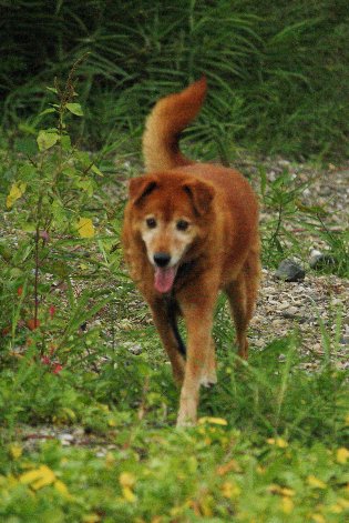 �������W�H��