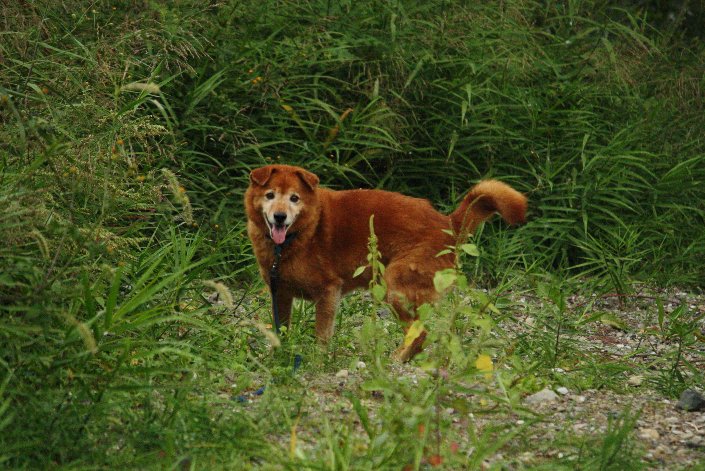 ���g�\���N