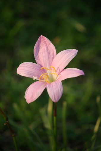 �T�t�������h�L