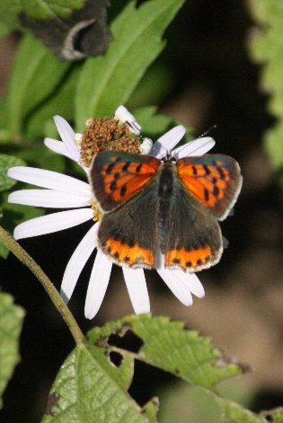 �x�j�V�W�~